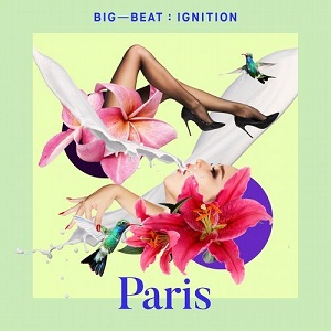 VA  BIG BEAT IGNITION: PARIS
