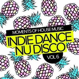 VA  Moments Of House Music, Vol. 6: Indie Dance Nu Disco (RIMVA960)
