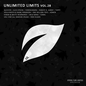 VA  Unlimited Limits, Vol. 28  2017 MP3