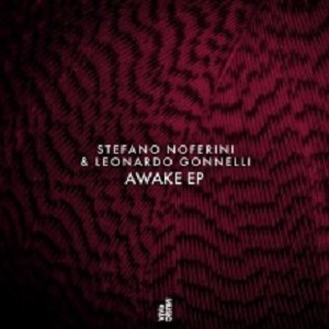 Stefano Noferini & Leonardo Gonnelli  Awake [VIVA136]