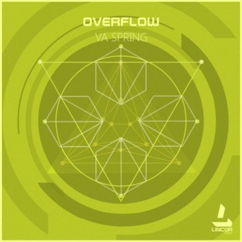 VA - Overflow 2017