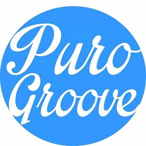  VA  Puro Groove 012 (2017)