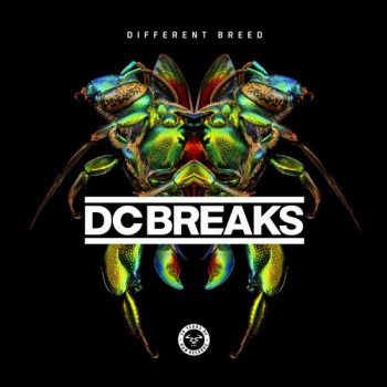 Dc Breaks - Different Breed