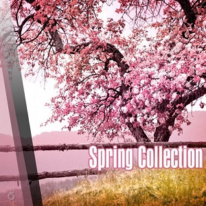 VA - Spring Collection (2017)