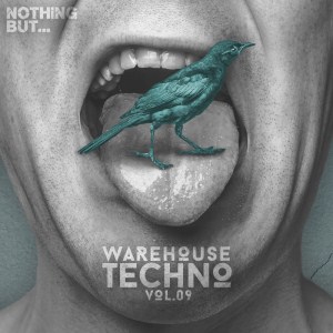 VA - Nothing But... Warehouse Techno, Vol. 9