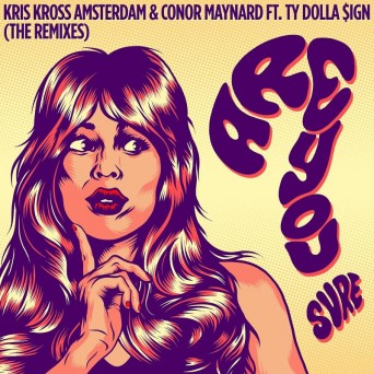 Kris Kross Amsterdam & Conor Maynard & Ty Dolla Sign  Are You Sure (The Remixes)