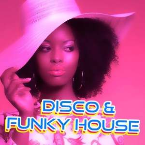 va - Disco and Funky House 2017