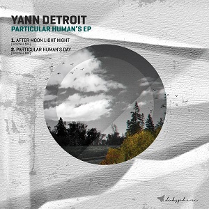 Yann Detroit - After Moon Light Night (Original Mix) [dub.sphere] [PROMO]