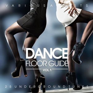  VA  DANCE FLOOR GUIDE (25 UNDERGROUND TUNES), VOL. 1 [GROOVE NATION]