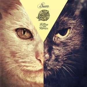 VA - Kitties On Remix [SCOM009] 