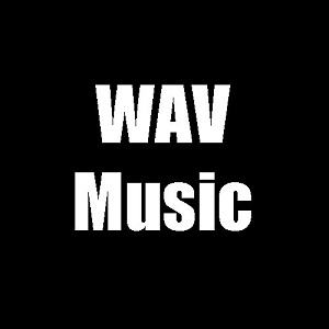 VA - TOP 100 May - June  Wav 2017