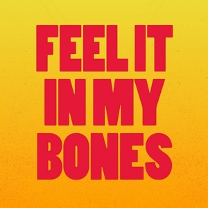 VA  Feel It in My Bones [GU2151Z]