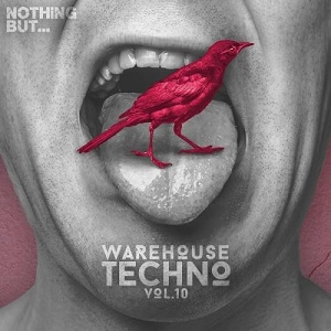 VA  Nothing But Warehouse Techno, Vol. 10 (2017)