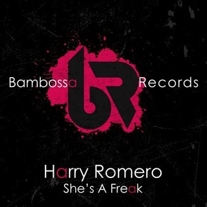 Harry Romero  Shes A Freak [BMBS008]