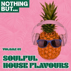 Nothing But Soulful House Flavours, Vol. 02 [NBSHF002]