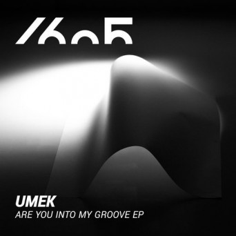 UMEK  Are You Into My Groove EP