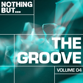 VA - Nothing But... The Groove, Vol. 04 [FLAC]