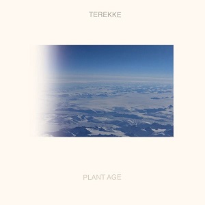 Terekke  Plant Age 2017