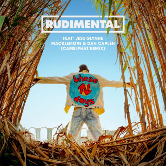Rudimental  These Days (Camelphat Remix)