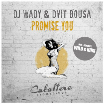 DJ Wady & Dvit Bousa  Promise You
