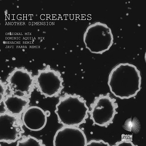 Night Creatures - Another Dimension AIFF