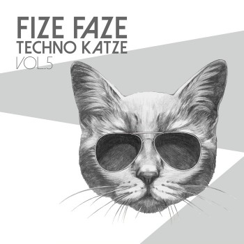 VA -  Fize Faze Techno Katze, Vol. 5 [2018]