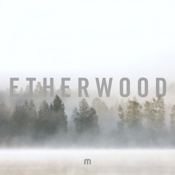Etherwood - In Stillness [Med School] 2018