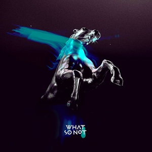 What So Not - Not All the Beautiful Things [CD] (2018)