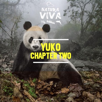 Yuko - Chapter Two [	Natura Viva]