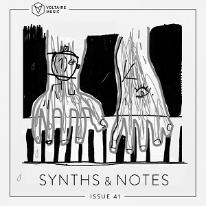 VA - SYNTHS AND NOTES 41 [VOLTCOMP697]