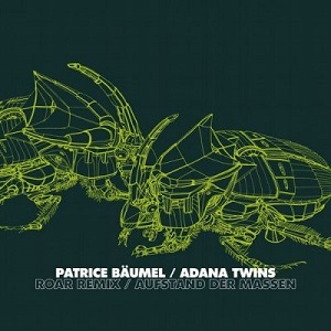 Patrice Baumel / Adana Twins  Roar Remix / Aufstand der Massen [WGVINYL052]