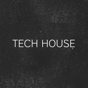 Beatport Tech House Top 100 (20 Nov 2018)