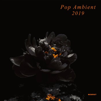 VA - Pop Ambient 2019