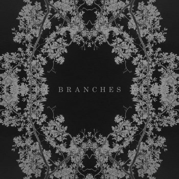 Ak - Branches