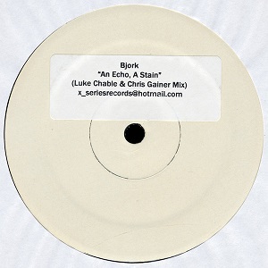 Bjork  An Echo, A Stain (Luke Chable & Chris Gainer Mix) 