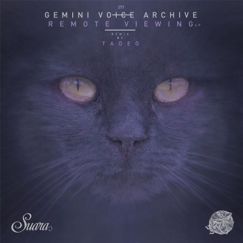 Gemini Voice Archive - Remote Viewing