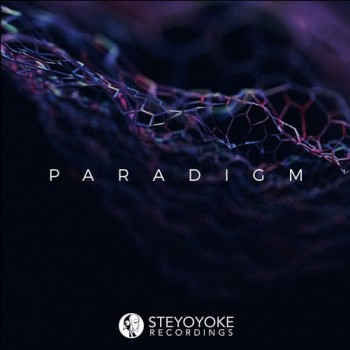 Various - Steyoyoke Paradigm (Vol.06)