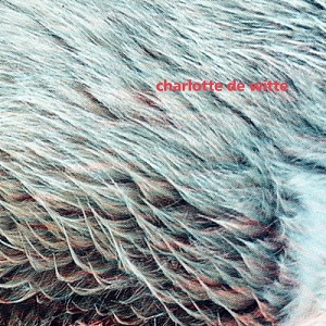 Charlotte de Witte  Vision EP