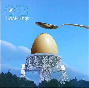 The Orb &#8206; Hawk Kings (Oseberg Buddhas Buttonhole)