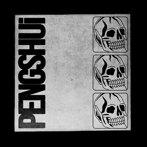 PENGSHUi - PENGSHUi [CD] (2020)