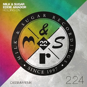 Eddie Amador & Milk & Sugar  Holding On (Cassimm Remix)