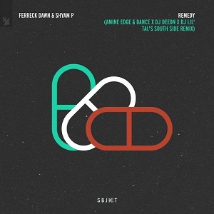 Ferreck Dawn & Shyam P  Remedy - Amine Edge & DANCE x DJ Deeon x DJ Lil'Tal's South Side Remix