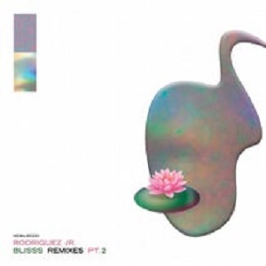 Rodriguez Jr. & Liset Alea  Blisss Remixes Pt. 2