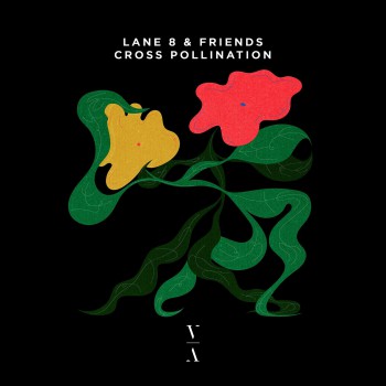 Lane 8 - Cross Pollination [This Never Happened]