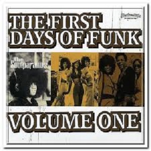 VA - The First Days Of Funk Volume One (2005) CD-Rip