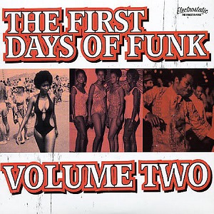 VA - The First Days Of Funk Volume Two (2005) CD-Rip