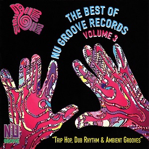 VA - The Best Of Nu Groove Records Volume 3 (Trip Hop, Dub Rhythm & Ambient Grooves) (1995) CD-Rip
