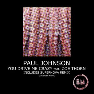 Paul Johnson  You Drive Me Crazy (Extended Mixes) [LPS298D]