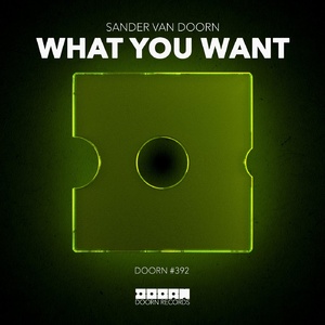 Sander Van Doorn  What You Want (Extended Mix) [190296730375]
