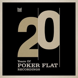 VA  20 Years of Poker Flat Remixes [PFRDD49]